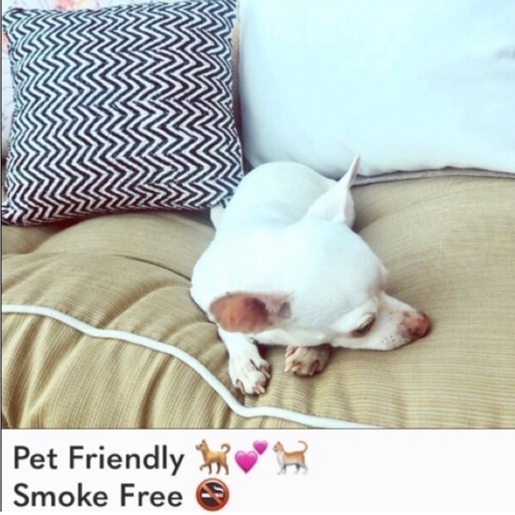 LULAROE black print Randy NWT 3/4 sleeve tee - Picture 8 of 8